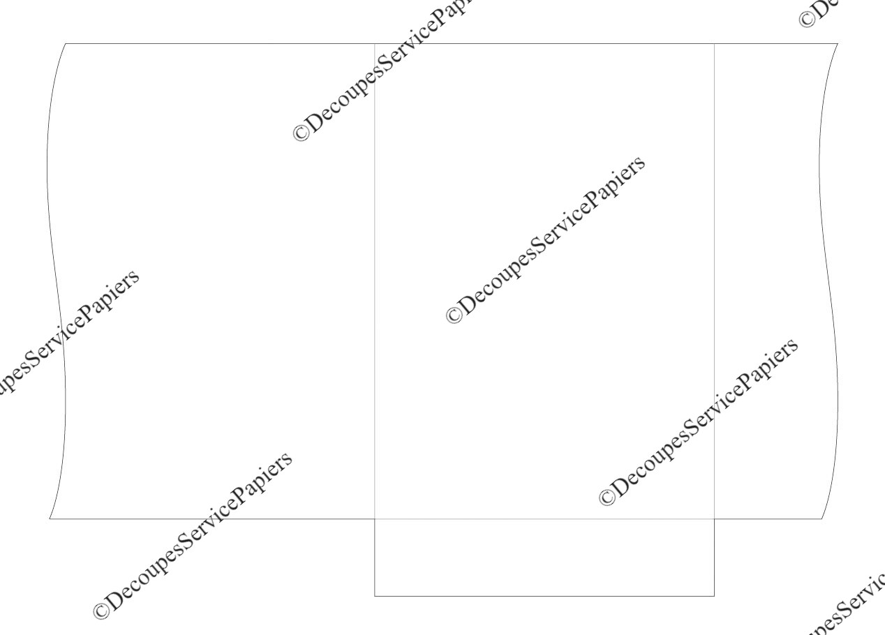 CHEMISE F 220 X 308 O 512 X 358.jpeg